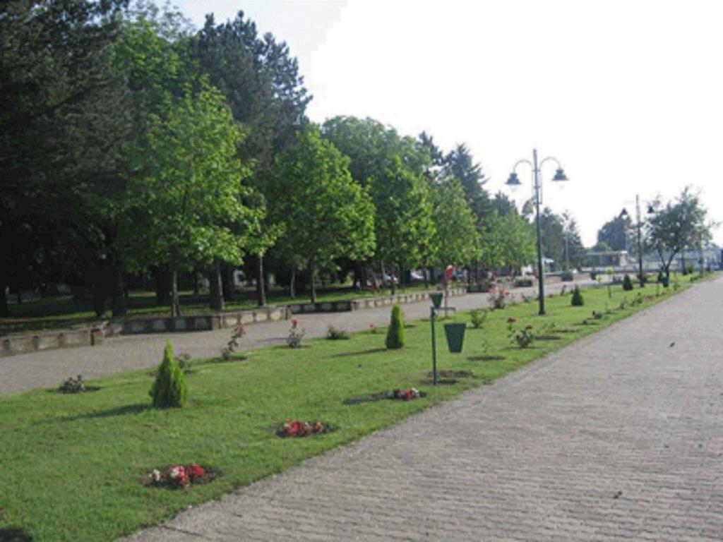 Villa I Spa Stevic Veliko Gradište Exterior foto